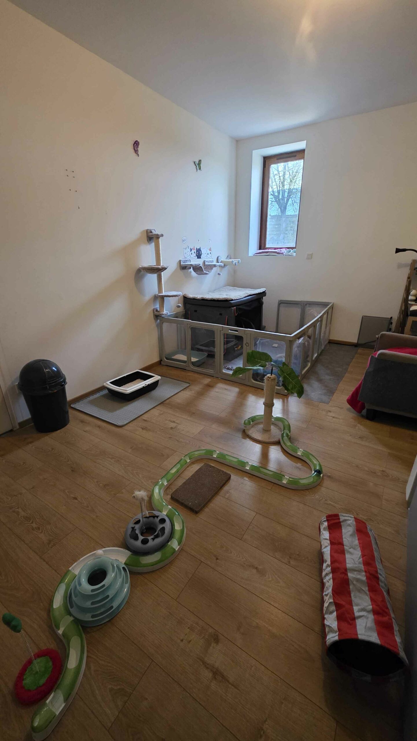 Lire la suite à propos de l’article 🐾La chatterie 🐈